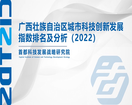 快插我逼视频【成果发布】广西壮族自治区城市科技创新发展指数排名及分析（2022）